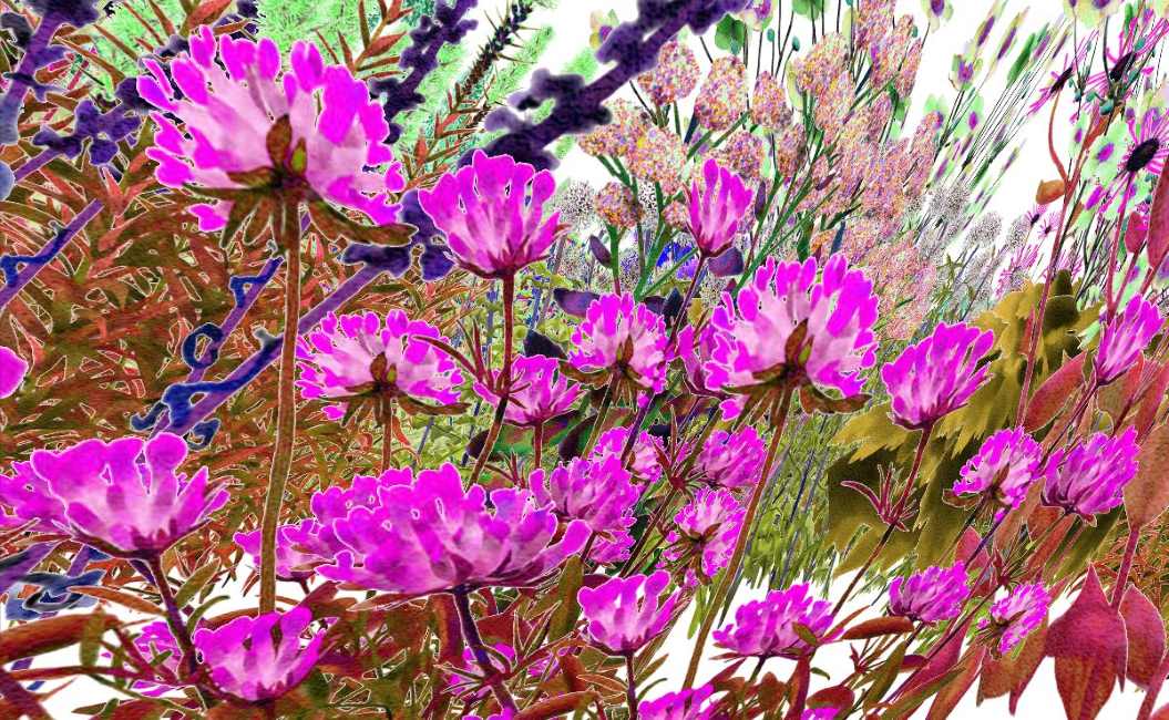 Computeranimiertes Bild einer Blumenwiese mit vielen pinken Blumen