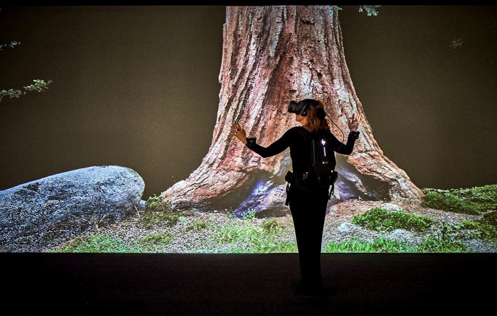 Eine Frau mit einer VR-Brille steht in einem dunklen Raum vor der Animation eines Waldbodens und Baumstammes und streckt die Arme aus