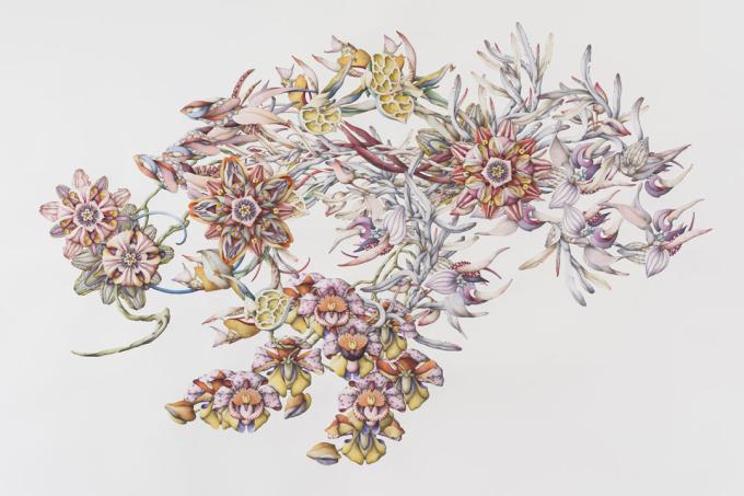 Bild vergrössern: Wie wissenschaftlich gemalte Blumenranken, die es aber in der Realität nicht gibt