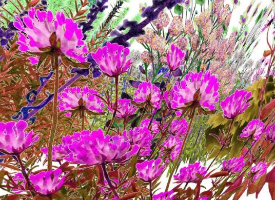 Computeranimiertes Bild einer Blumenwiese mit vielen pinken Blumen