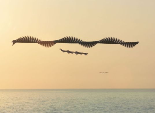 Fliegende Strukturen über Meer bis zum Horizont mit gleißender Sonne