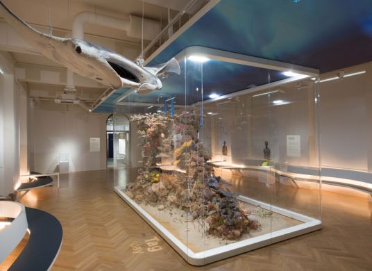 Ausstellungsvitrine mit einem von der Decke h&auml;ngenden Rochen