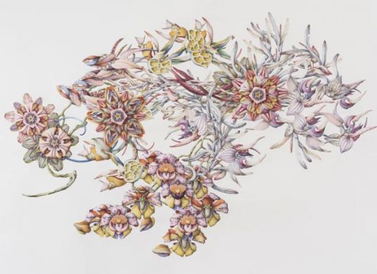 Wie wissenschaftlich gemalte Blumenranken, die es aber in der Realität nicht gibt
