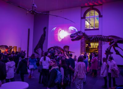 Mehrere Menschen stehen im lila beleuchteten Dinosaal im Senckenberg Naturmuseum unter Skeletten, an der Wand eine Projektion